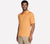 ORANGE / BROWN